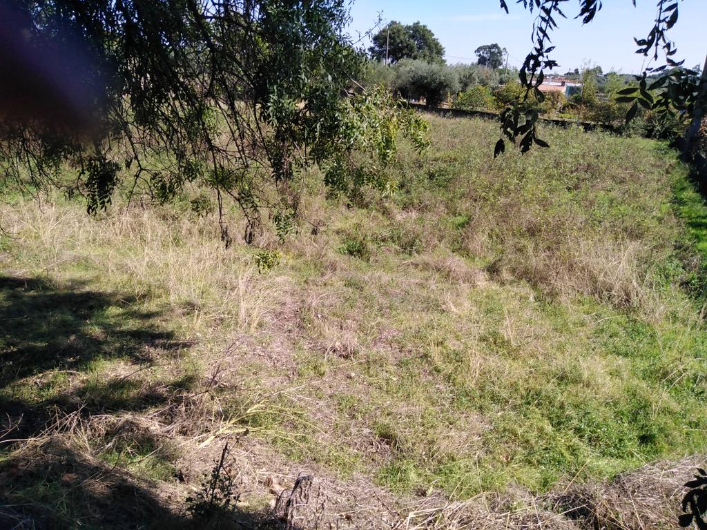 Tereno em Alcains, Castelo Branco - Image 11