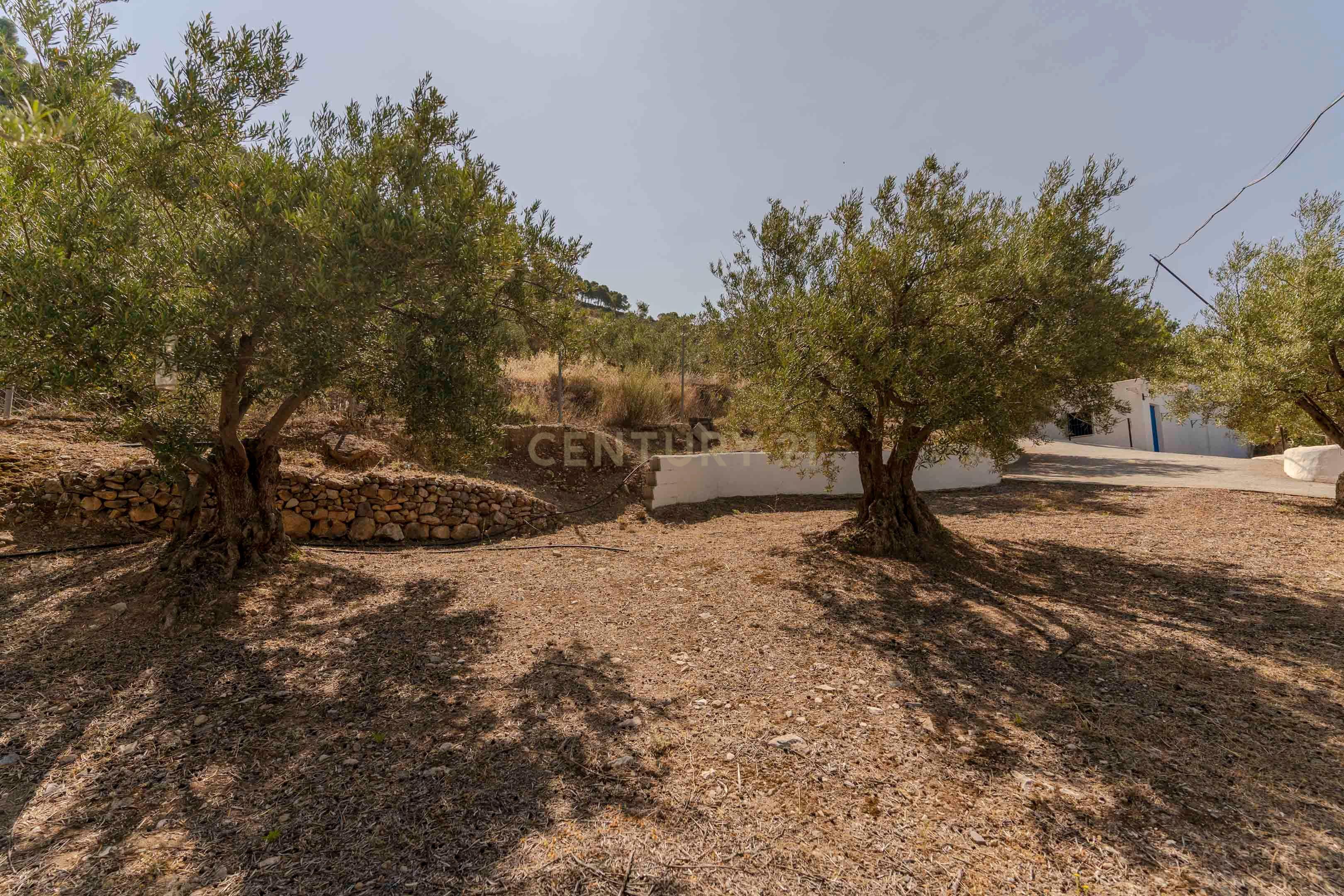 undefined - Image 62