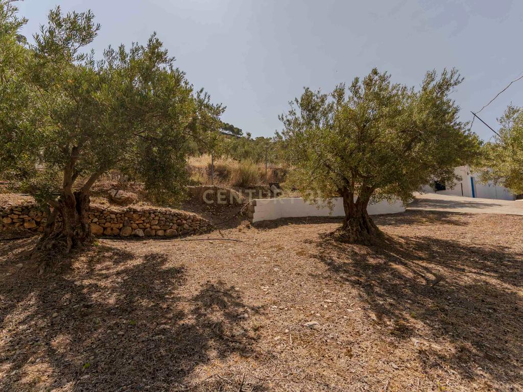 undefined - Image 62