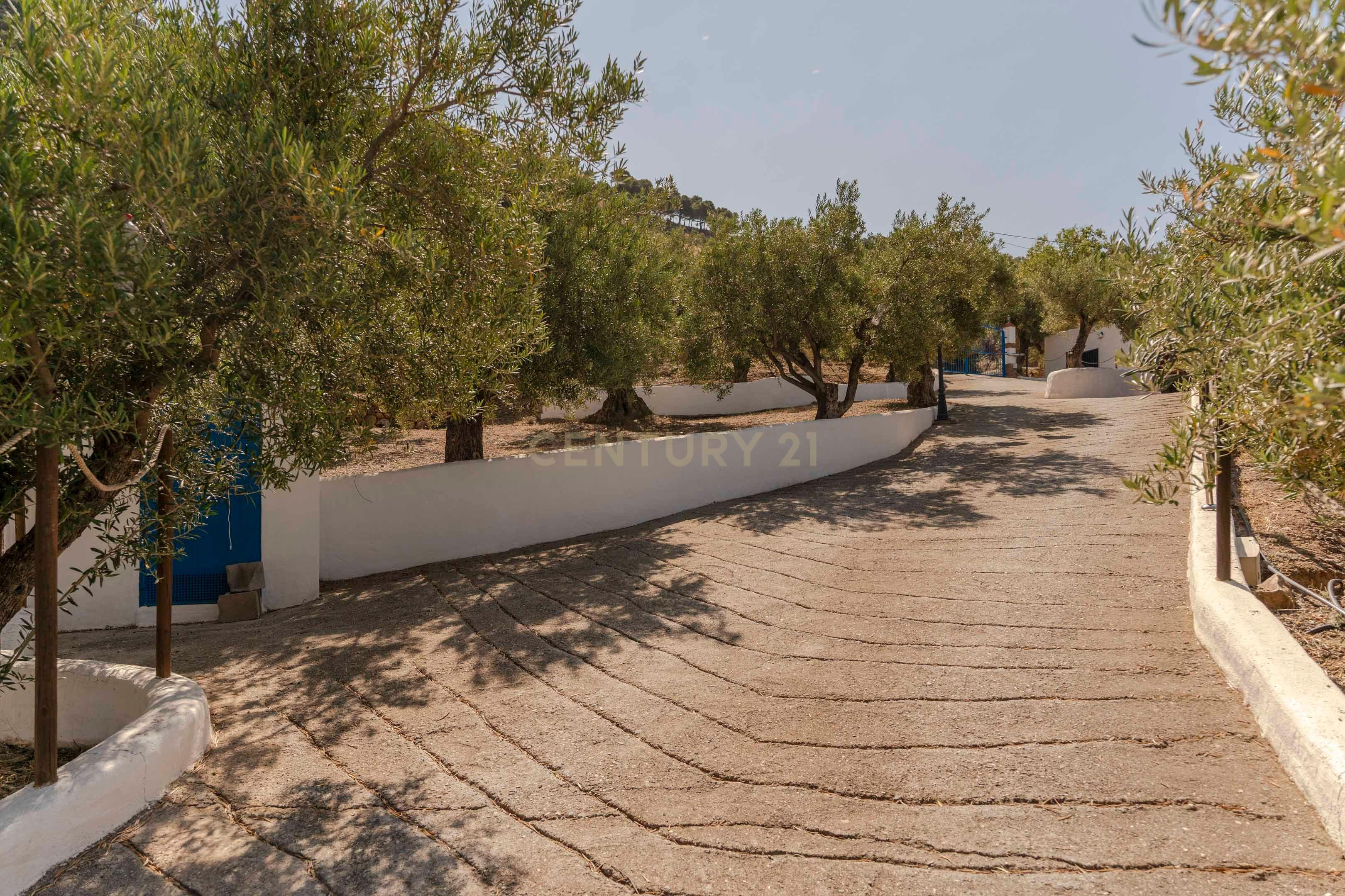 undefined - Image 64