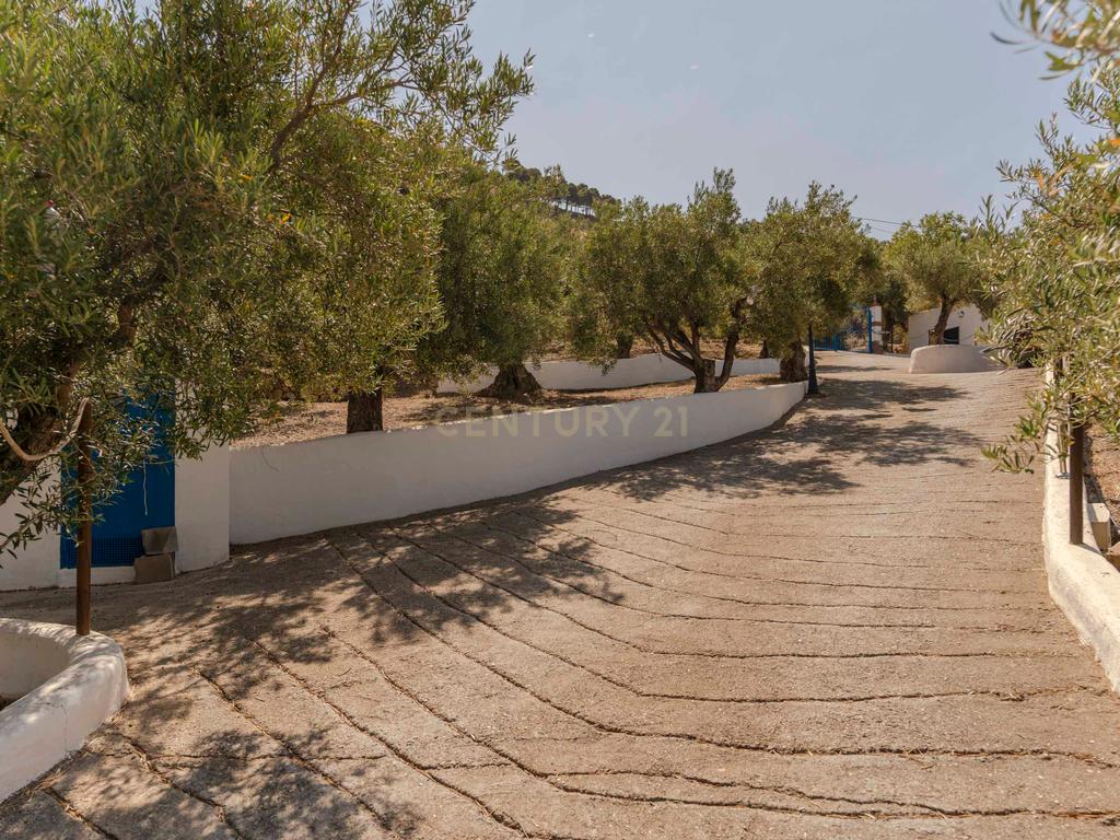 undefined - Image 64