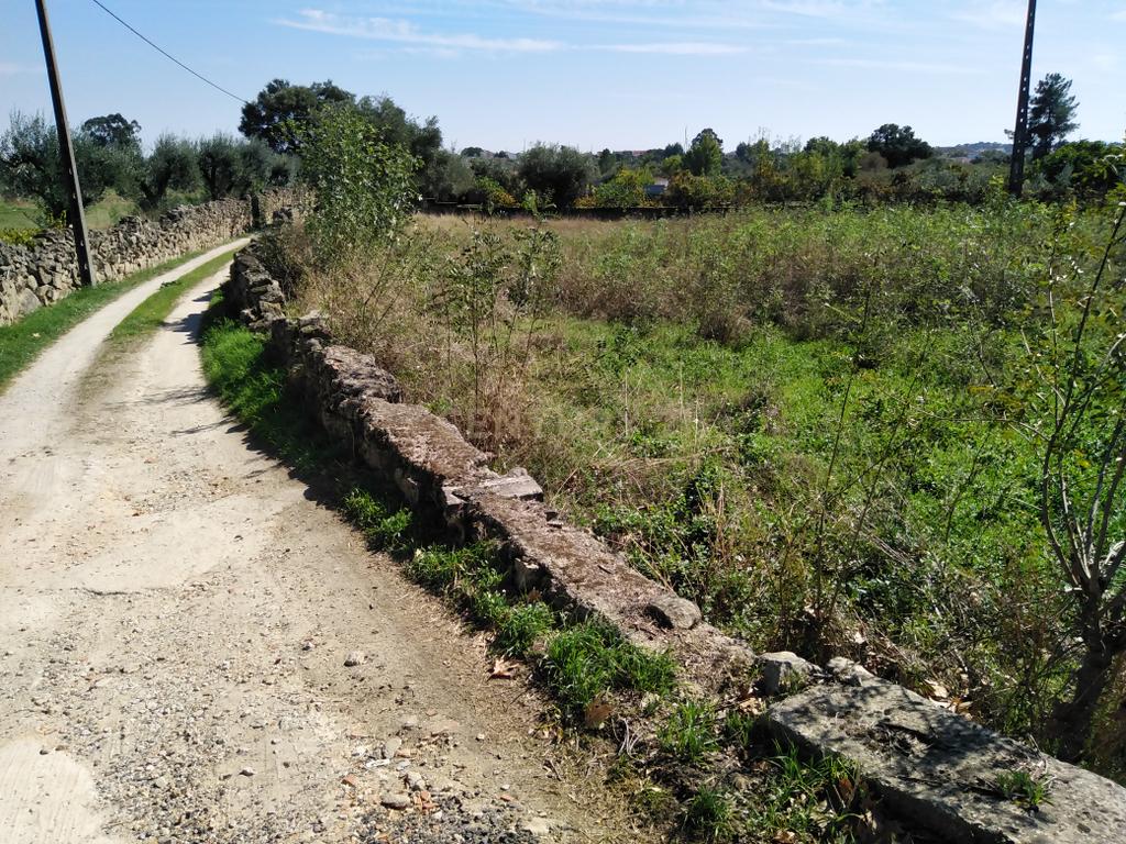 Tereno em Alcains, Castelo Branco - Image 3