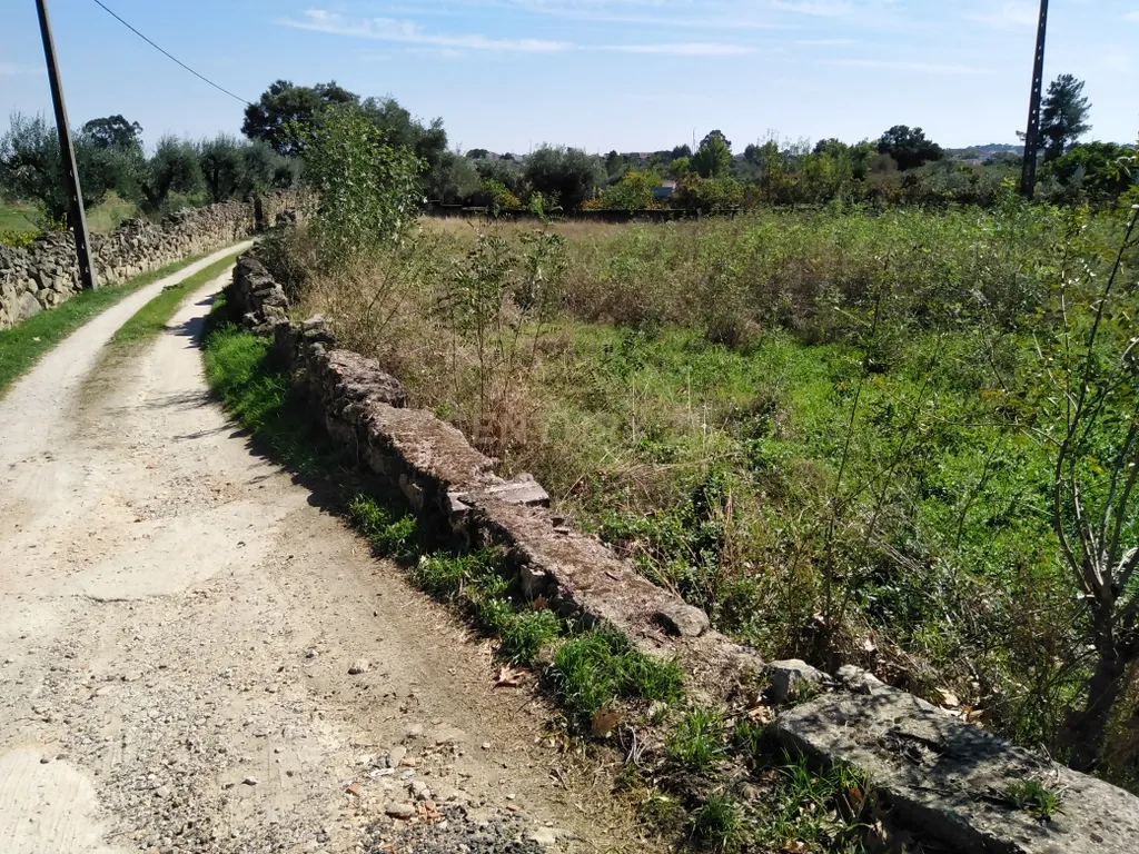 Tereno em Alcains, Castelo Branco - Image 3