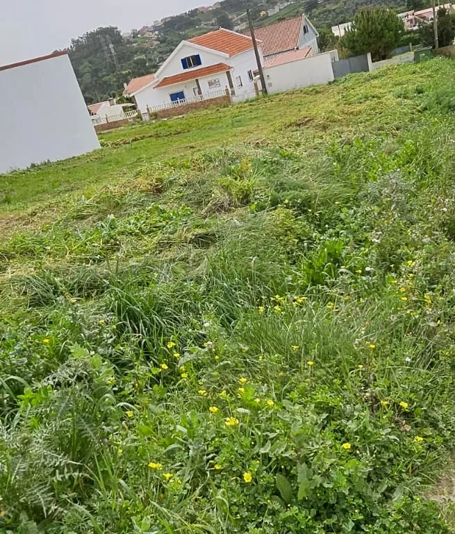 Terreno Urbano com 1200mts2 em Camarões, Almargem do Bispo, Sintra - Image 11