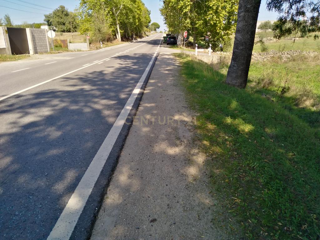 Tereno em Alcains, Castelo Branco - Image 12