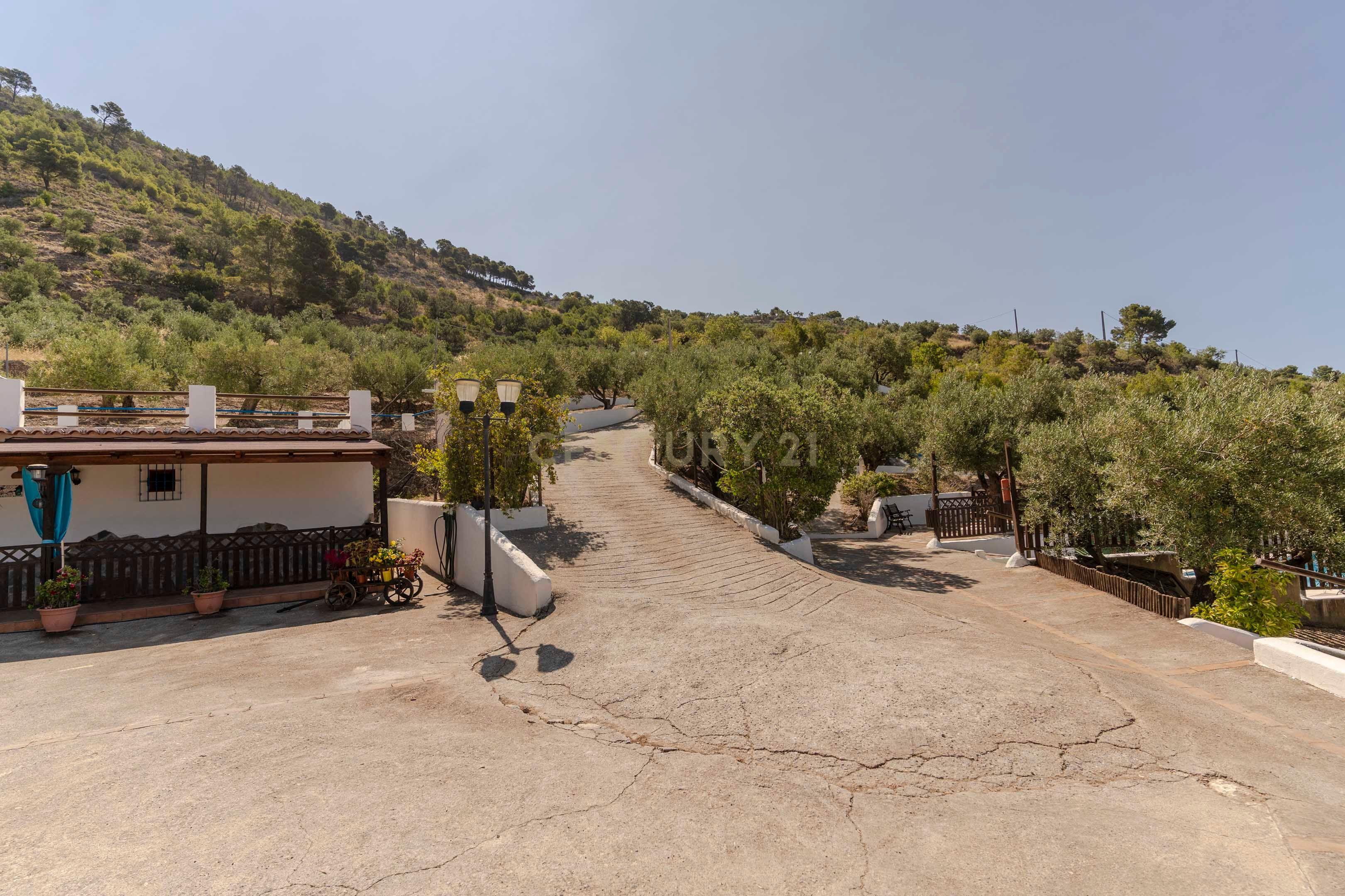 undefined - Image 74