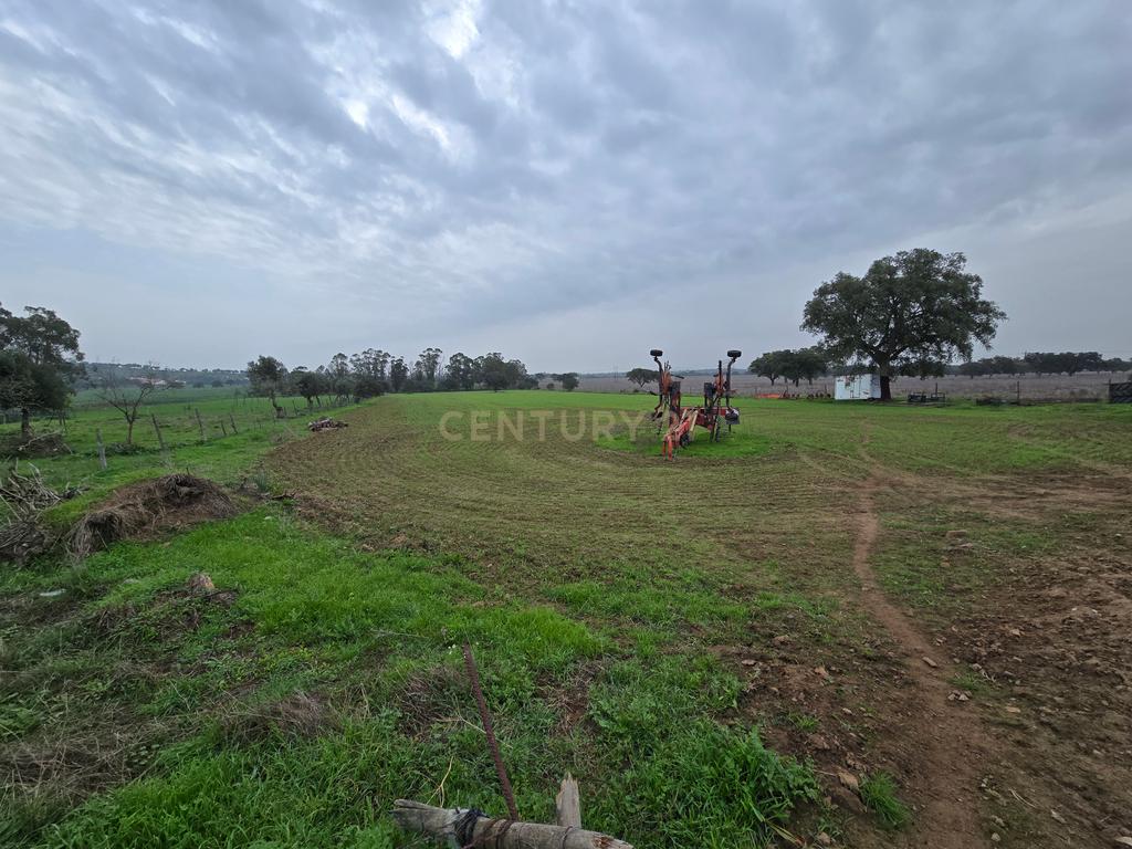 Terreno Rústico de 1,125 ha em Alcáçovas – Ideal para Agricultura, Habitação ou Turismo Rural - Image 1