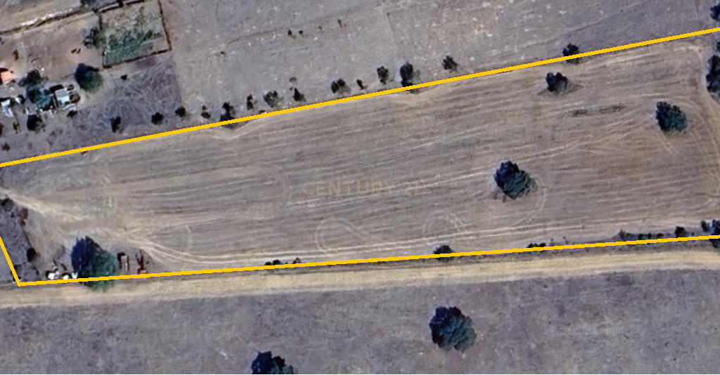 Terreno Rústico de 1,125 ha em Alcáçovas – Ideal para Agricultura, Habitação ou Turismo Rural - Image 4