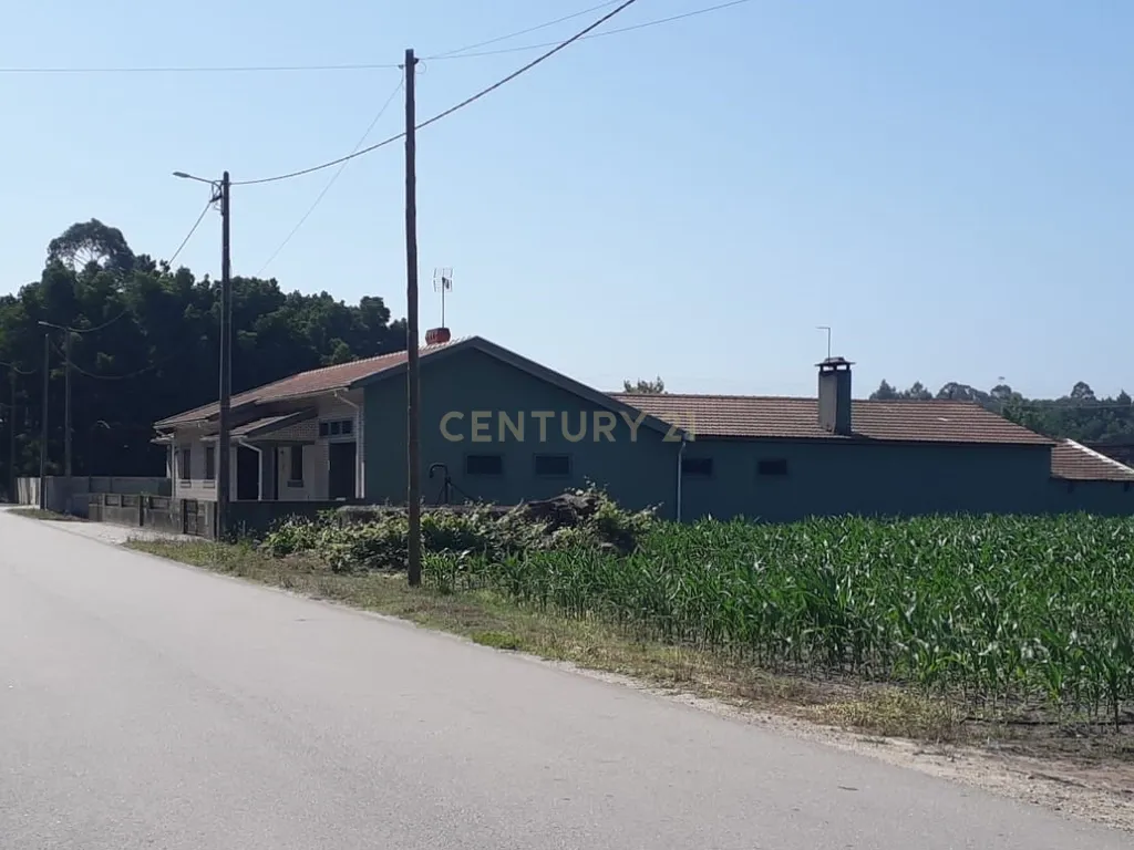 Terreno - Estarreja - Image 4