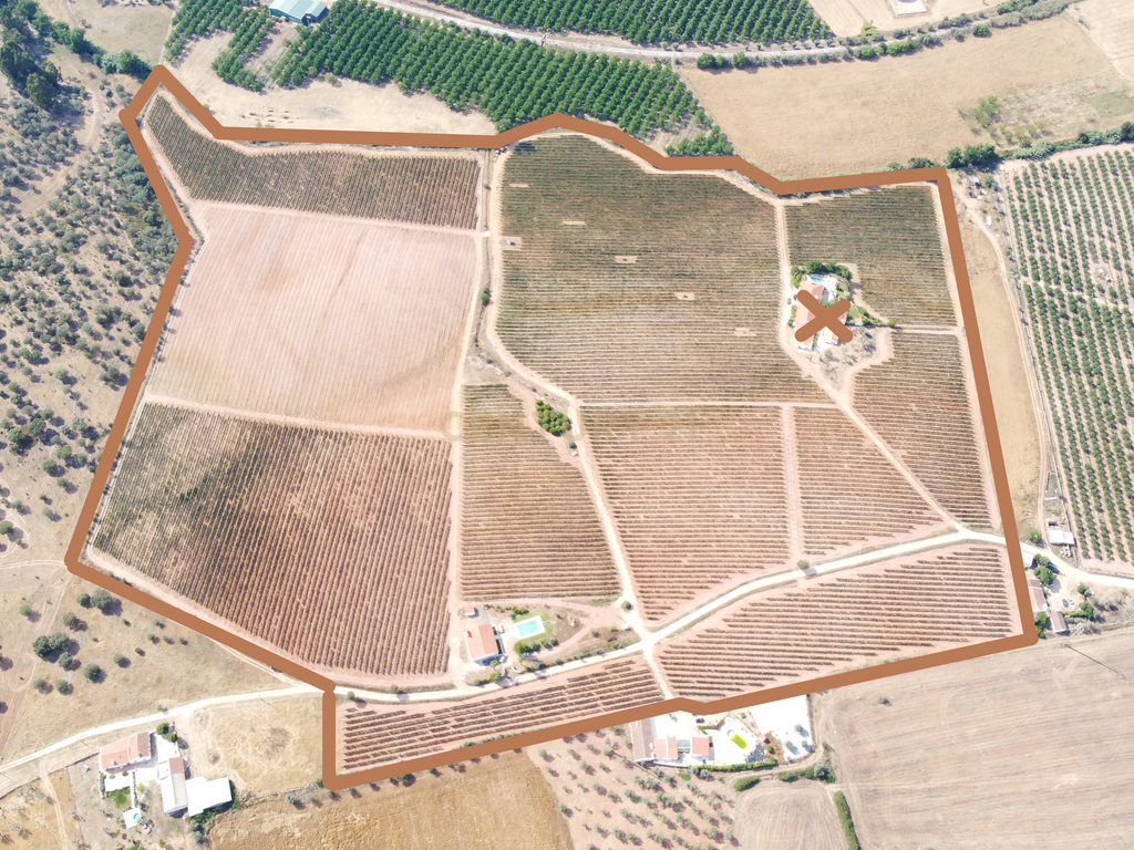 Vinha com 166 228m2, com benfeitoria (projeto) em Estremoz. - Image 5
