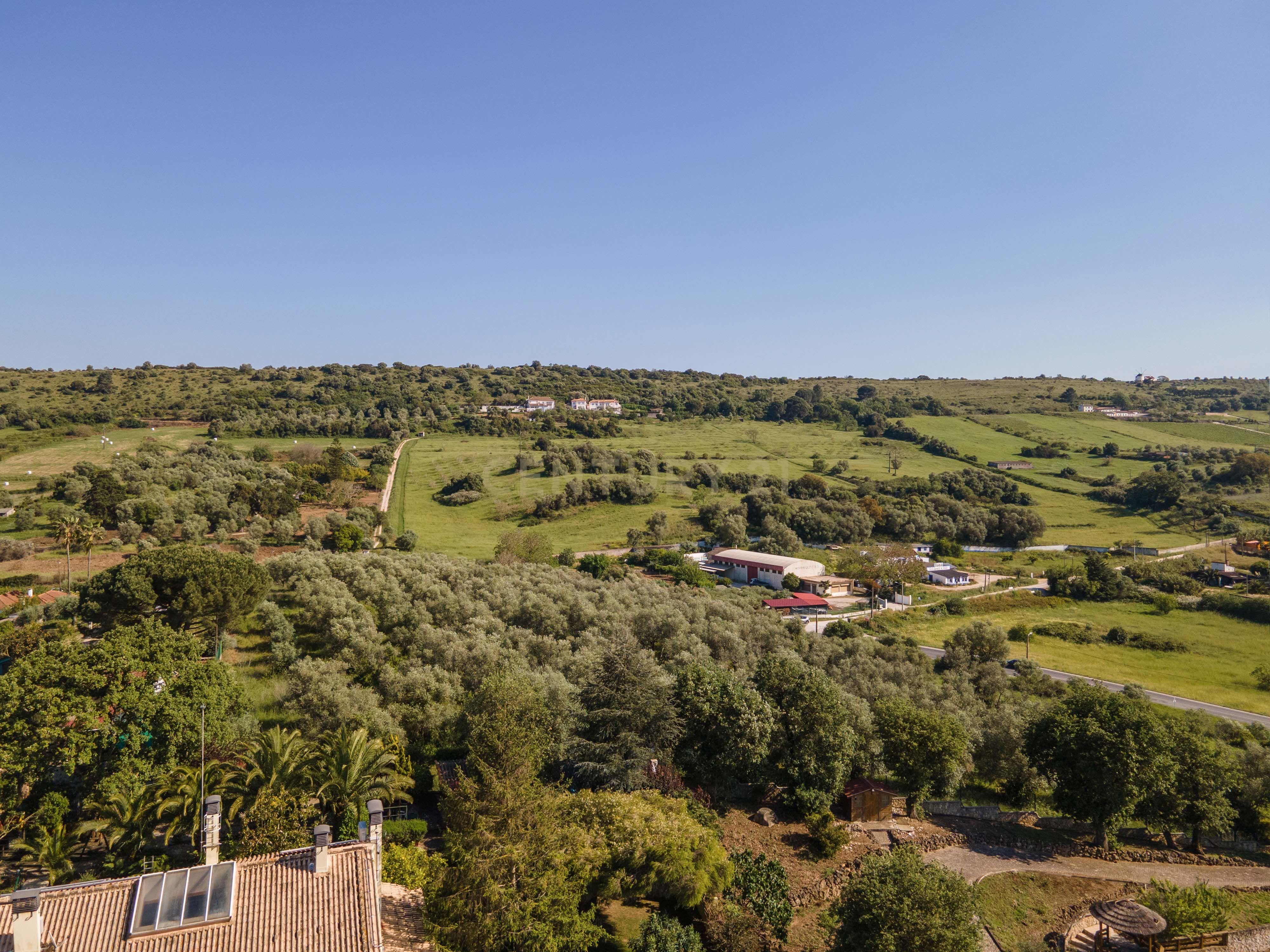 Terreno Rústico com Vista Deslumbrante sobre a Serra da Arrábida — Quinta do Anjo, Palmela - Image 28