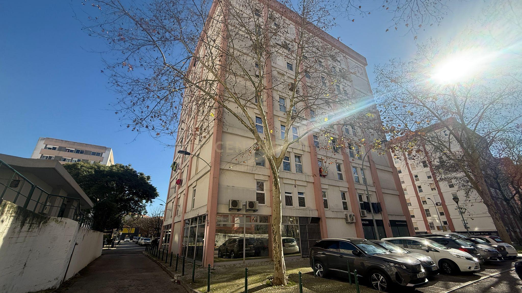 T3 totalmente remodelado em Benfica - Image 11