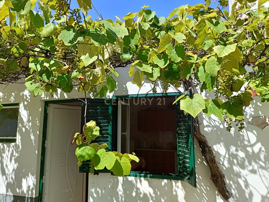 Reservado - Casa de Praia com vista lateral para o mar, com 2 garagens box, logradouro de boas dimensões, 3 quartos, a uma curta distância da praia paradisíaca de Vale Furado - Image 25