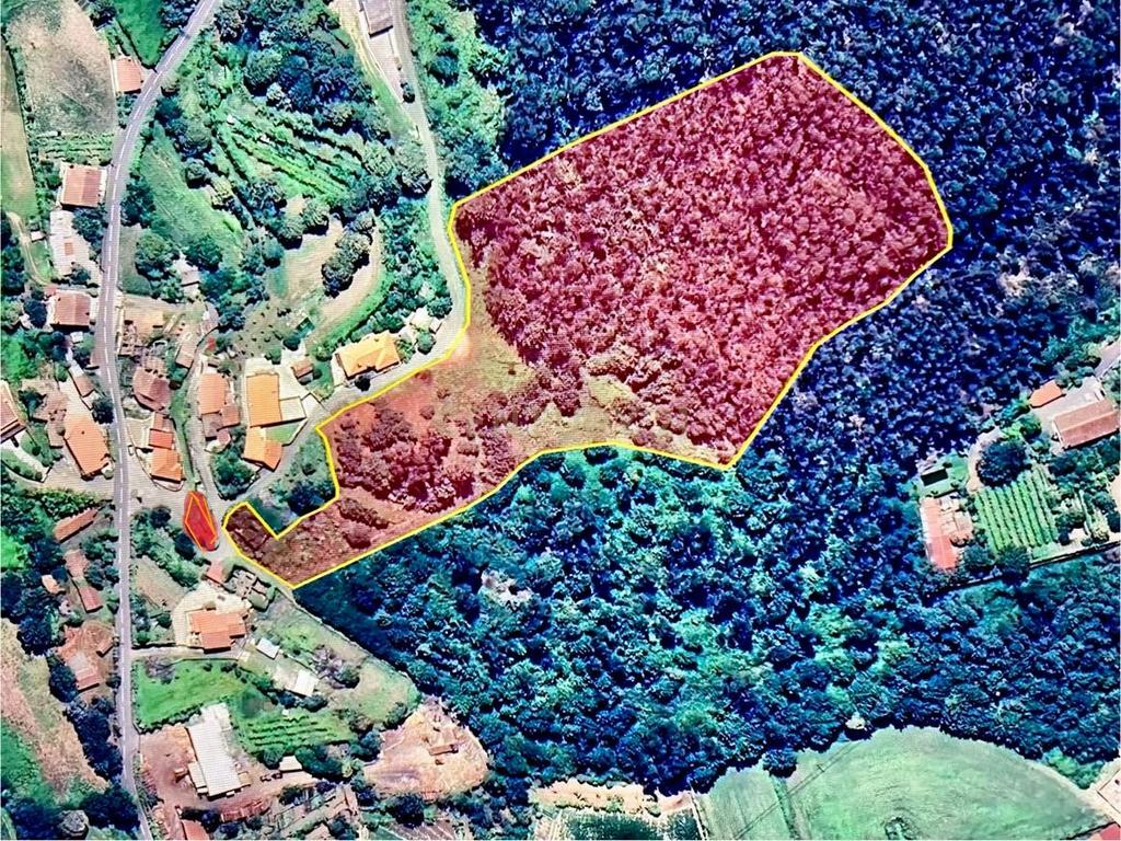 Quinta e Herdade Povoa de Lanhoso (Aceita se propostas) - Image 1