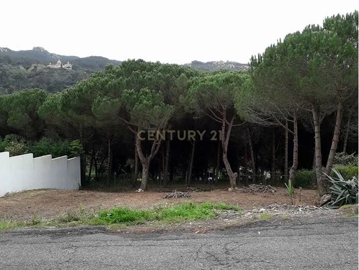 Lote de Terreno Urbano com Vista Deslumbrante – Galamares, Sintra - Image 7