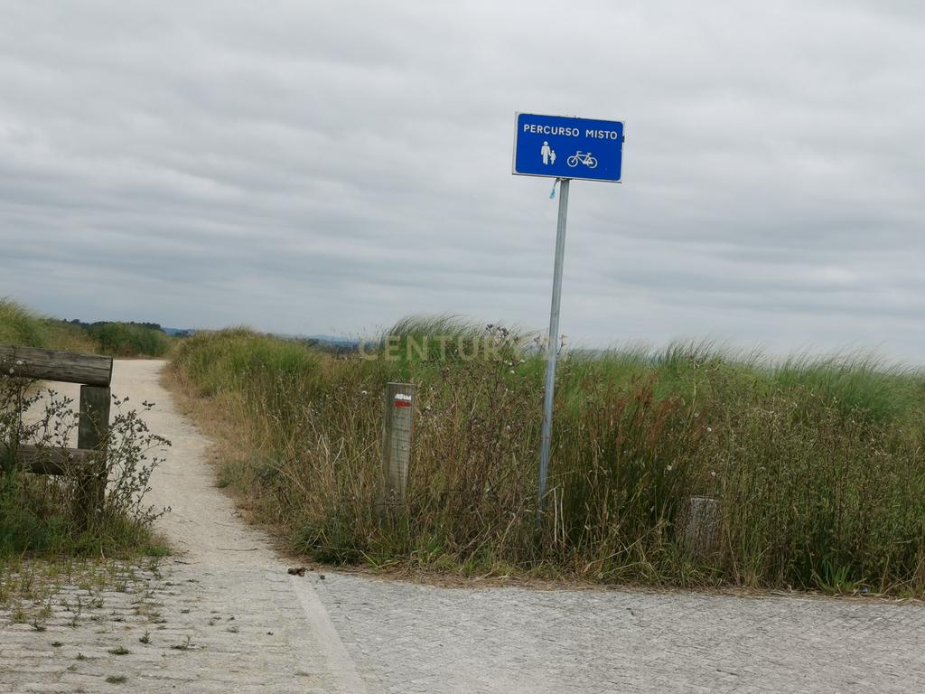 Moradia  T2 - Totalmente Reconstruída 2023- Paineis Solares e fotovoltaicos + furo agua - Veiros-Murtosa-  Parque da Ria de Aveiro - Image 37