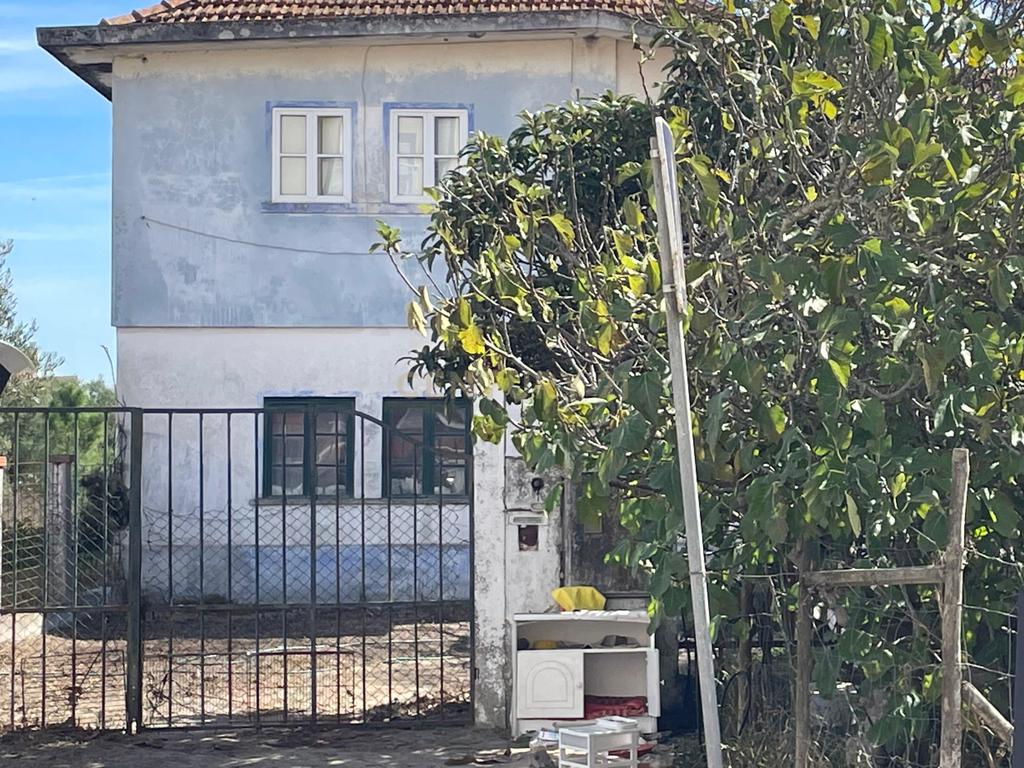 TERRENO - Image 5