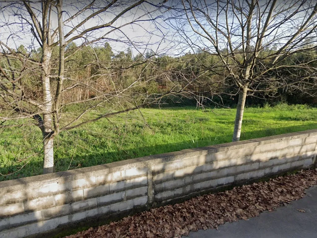 Terreno com 23.000 m2 em Igreja Nova - Barcelos - Image 2