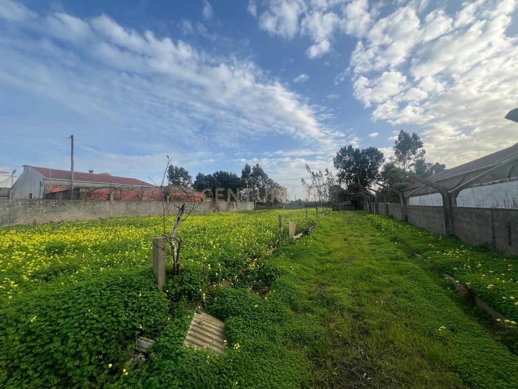 Terreno com PIP Aprovado em Canelas, Gaia, para Construção de 12 Moradias - Image 3