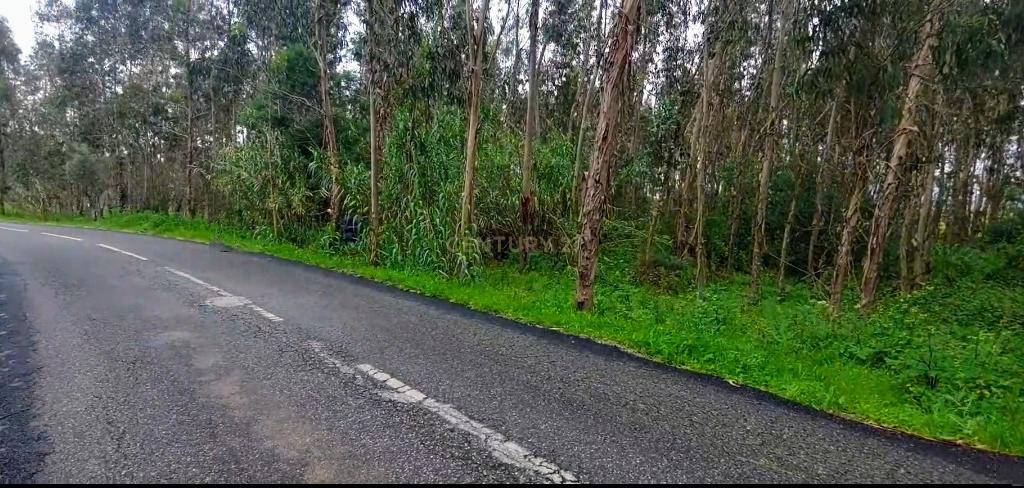 Terreno Rústico, inserido em uma zona tranquila no Paião, 14 minutos de Figueira da Foz. - Image 2