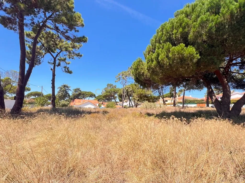 Terreno de 5760 m² em Colares, na área do Banzão, com PiP, para 10 moradias - Image 6