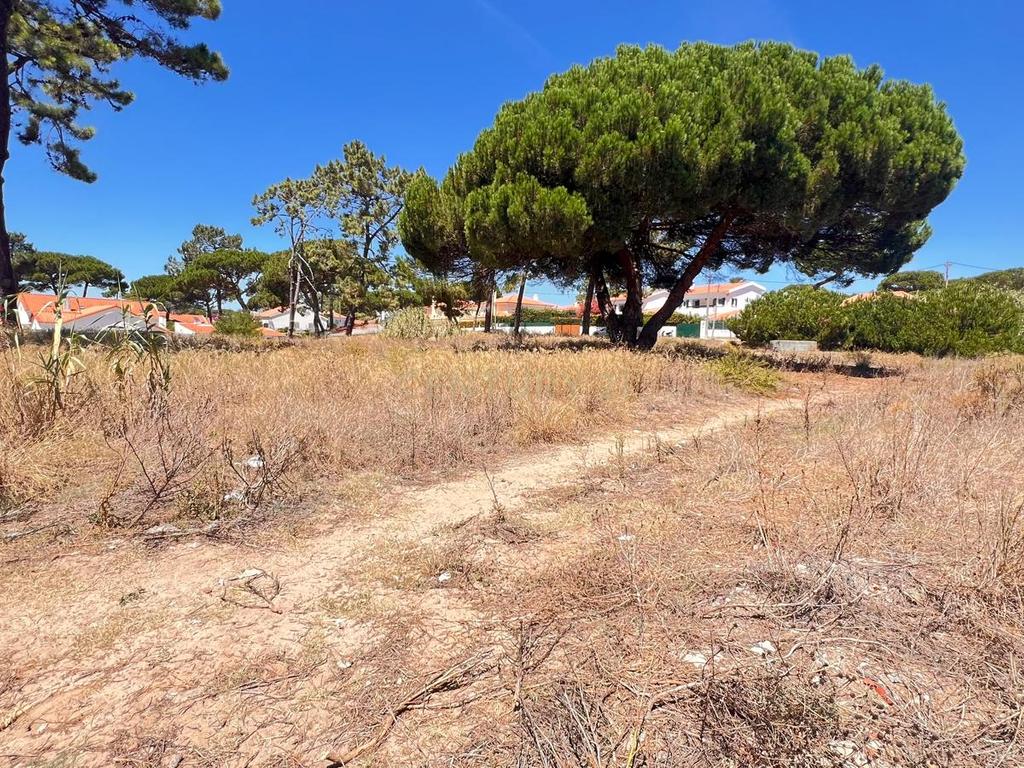 Terreno de 5760 m² em Colares, na área do Banzão, com PiP, para 10 moradias - Image 8