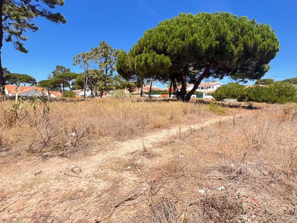 Terreno de 5760 m² em Colares, na área do Banzão, com PiP, para 10 moradias - Image 8