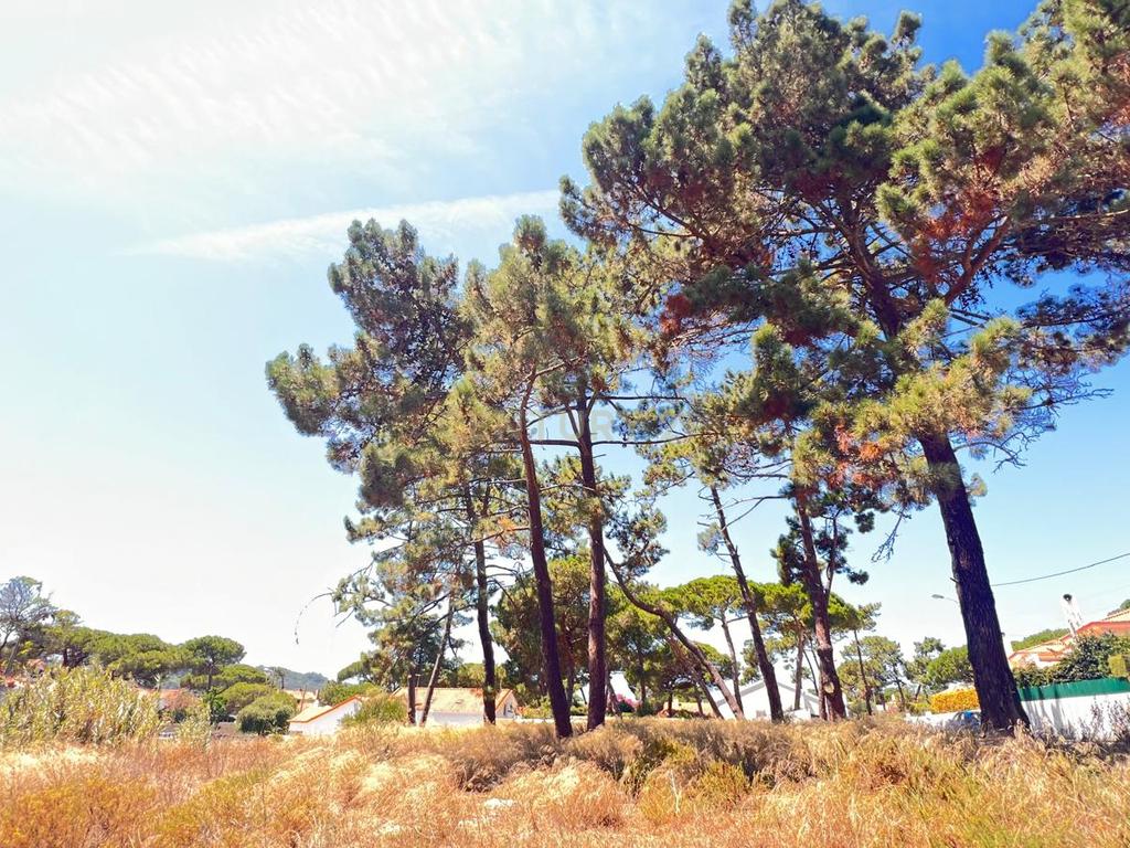 Terreno de 5760 m² em Colares, na área do Banzão, com PiP, para 10 moradias - Image 9