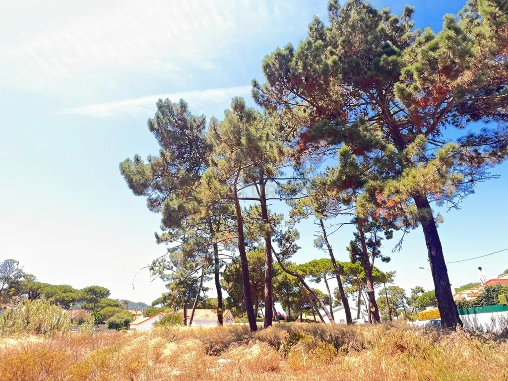 Terreno de 5760 m² em Colares, na área do Banzão, com PiP, para 10 moradias - Image 9