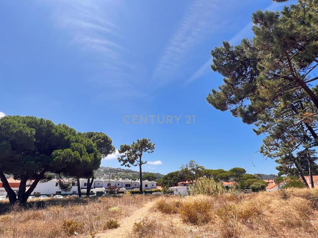 Terreno de 5760 m² em Colares, na área do Banzão, com PiP, para 10 moradias - Image 2