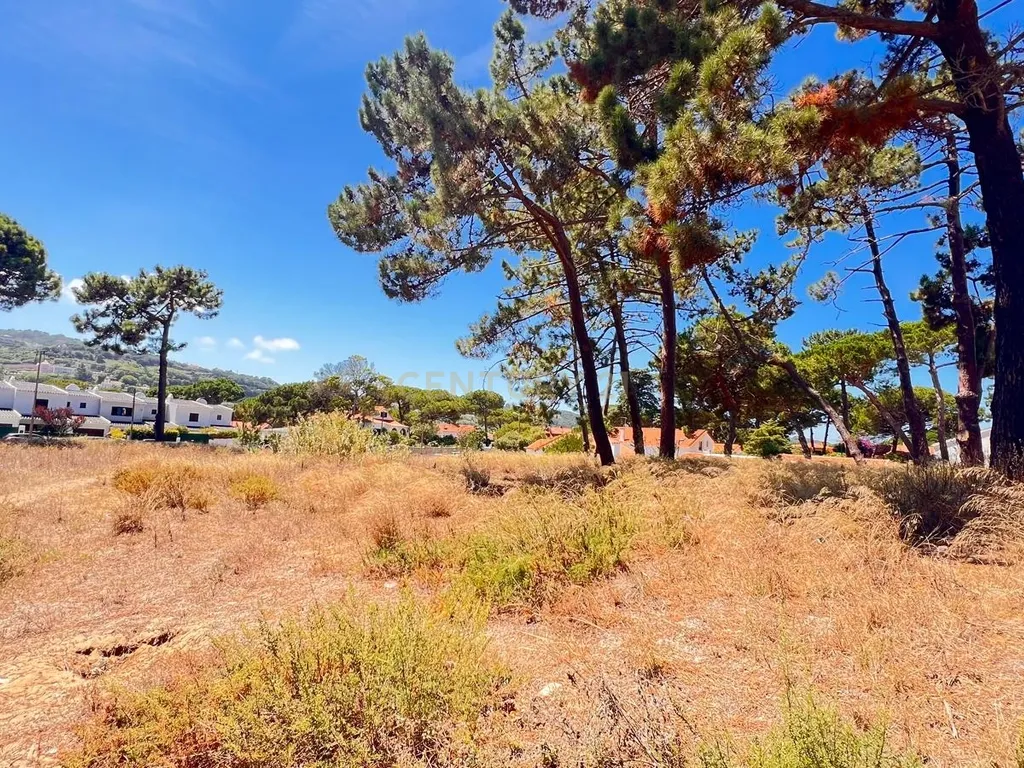 Terreno de 5760 m² em Colares, na área do Banzão, com PiP, para 10 moradias - Image 1