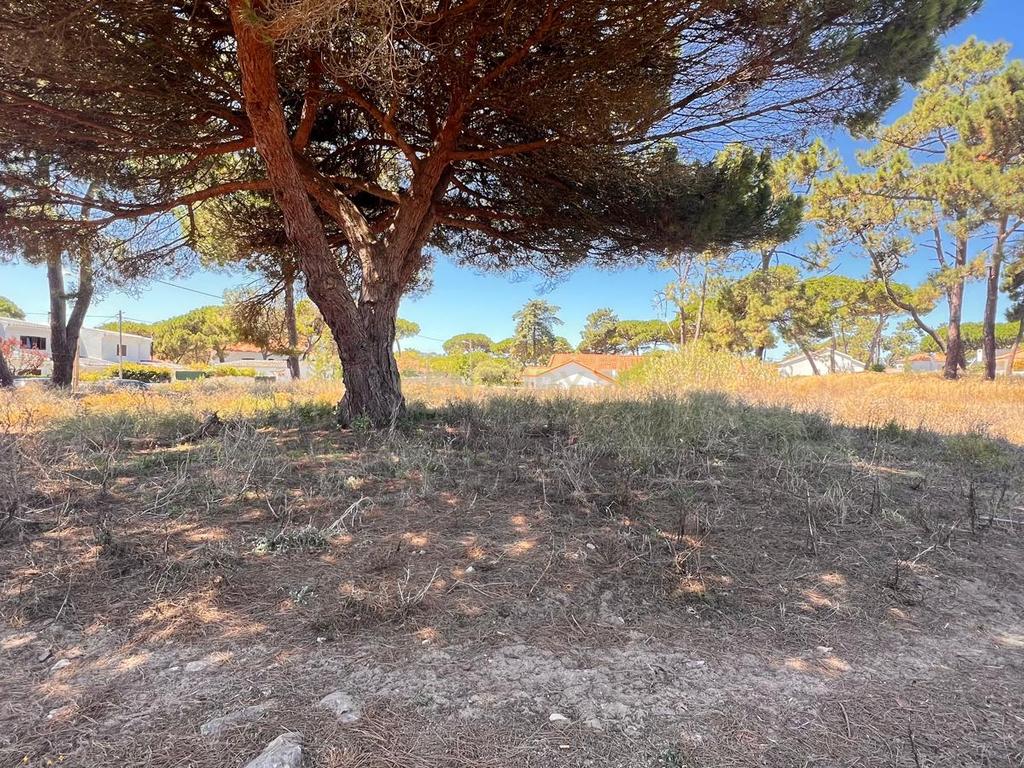 Terreno de 5760 m² em Colares, na área do Banzão, com PiP, para 10 moradias - Image 4