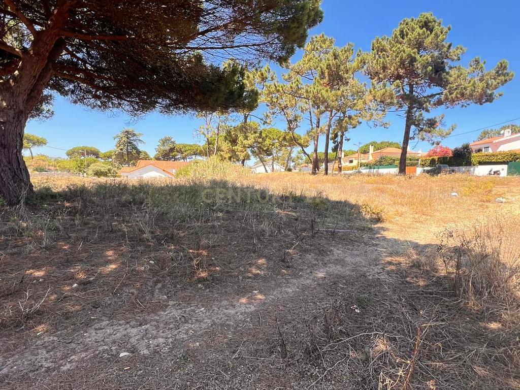 Terreno de 5760 m² em Colares, na área do Banzão, com PiP, para 10 moradias - Image 5