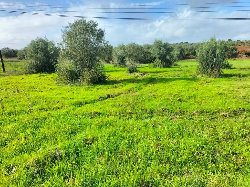 Terreno Elvas - Grande Potencial - Image 1