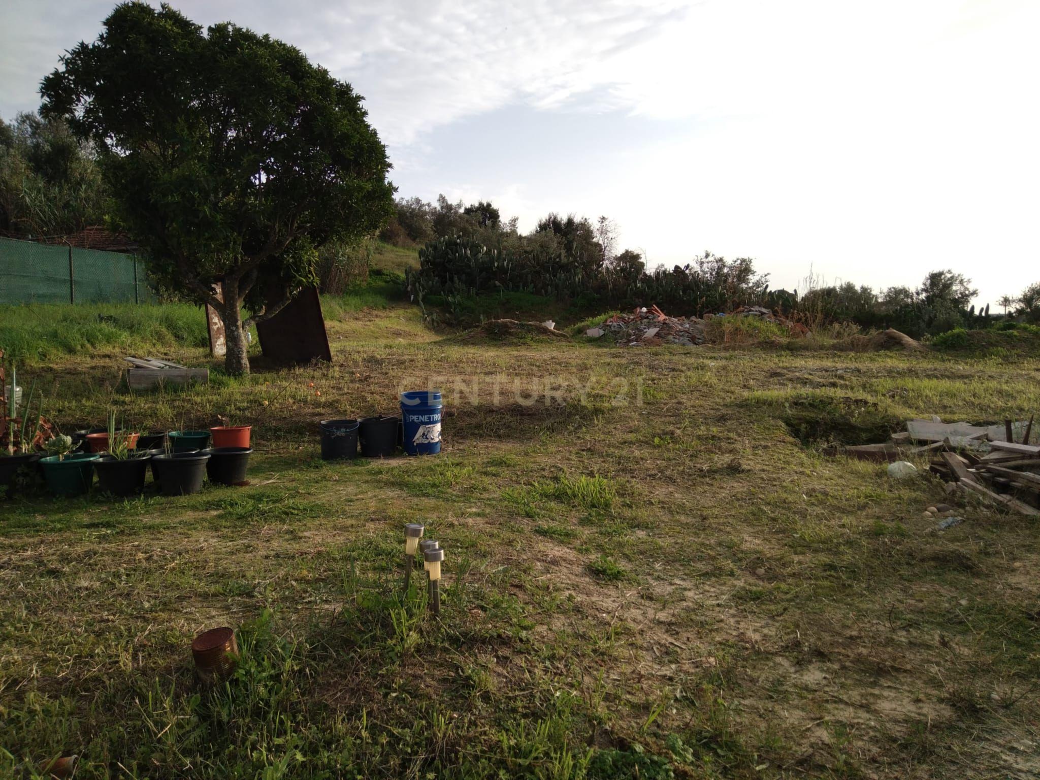 Moradia em Reconstrução – Carregueira, Chamusca - Image 6