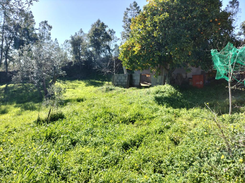 Terreno Rustico com 4080 m2, em Sarnadas de Rodao - Image 9