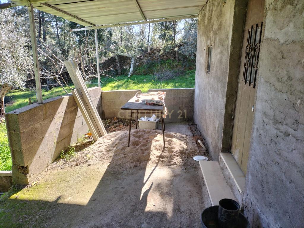 Terreno Rustico com 4080 m2, em Sarnadas de Rodao - Image 8