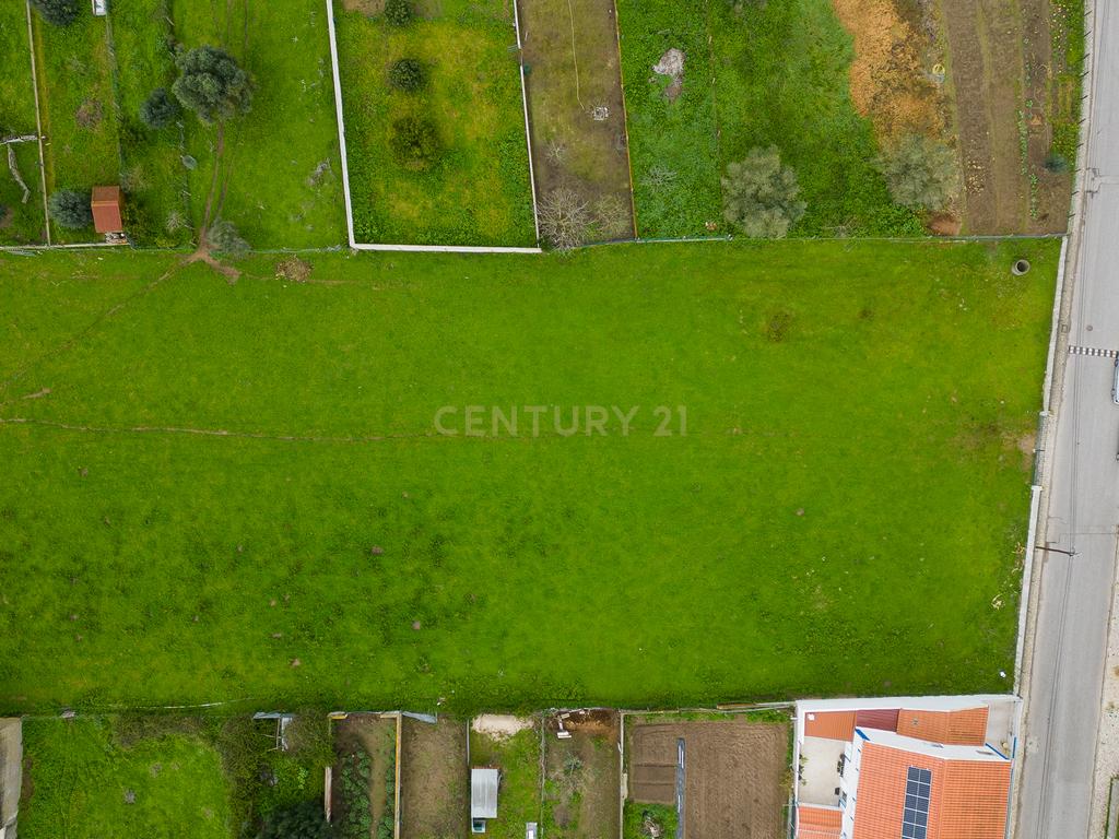 Terreno Em Santo Estevão ( Benavente ) com área de 16. 338 M2 para a construção de Moradias . - Image 14