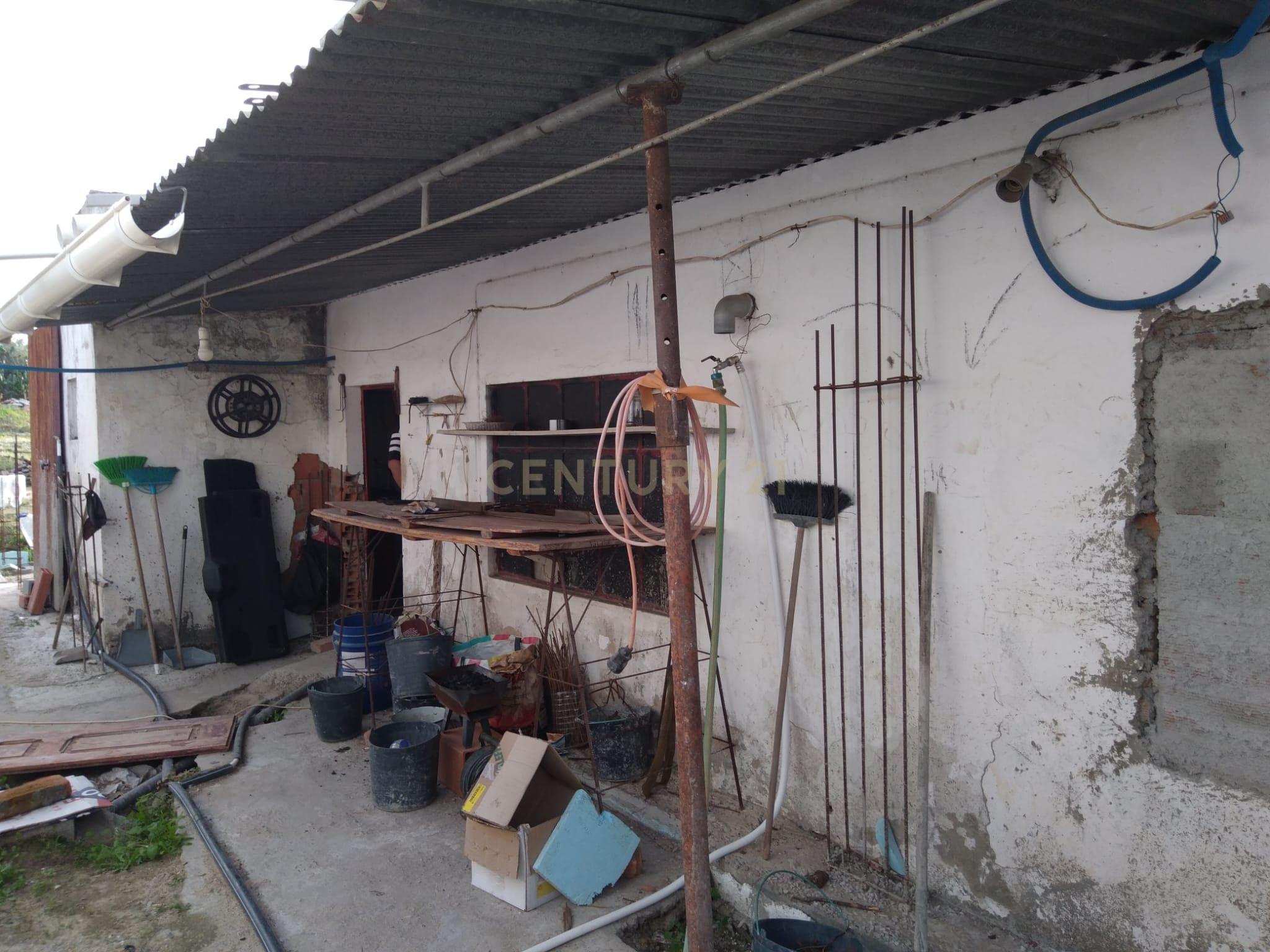 Moradia em Reconstrução – Carregueira, Chamusca - Image 9