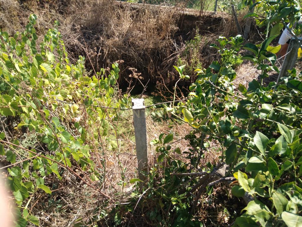 Moradia em Mação - Image 11