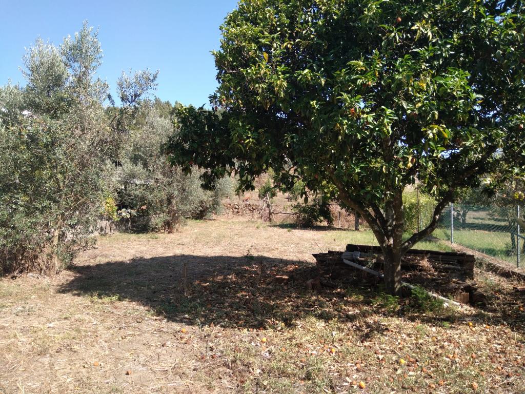 Moradia em Mação - Image 12