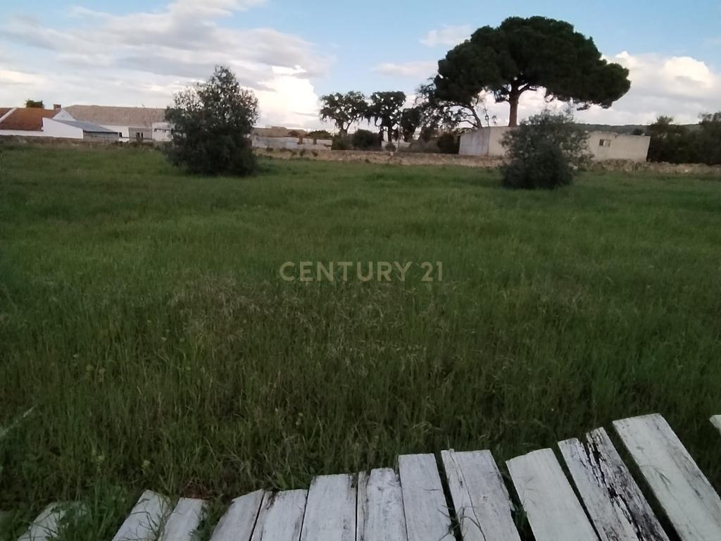 Terreno na Quinta do Anjo com Projeto Inovador para Condomínio Privado - Image 12