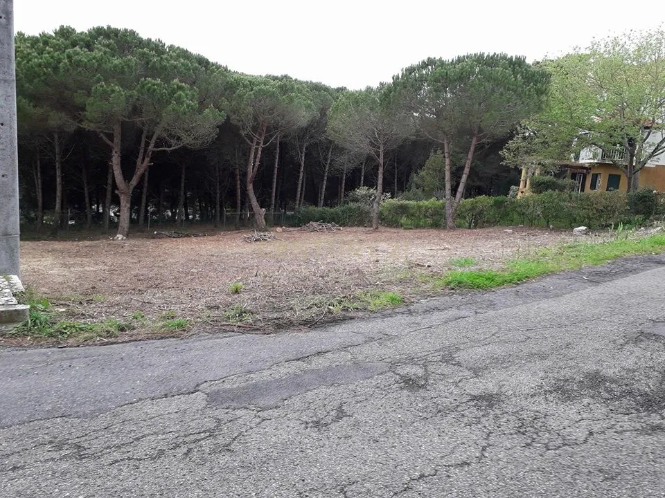 Lote de Terreno Urbano com Vista Deslumbrante – Galamares, Sintra - Image 1