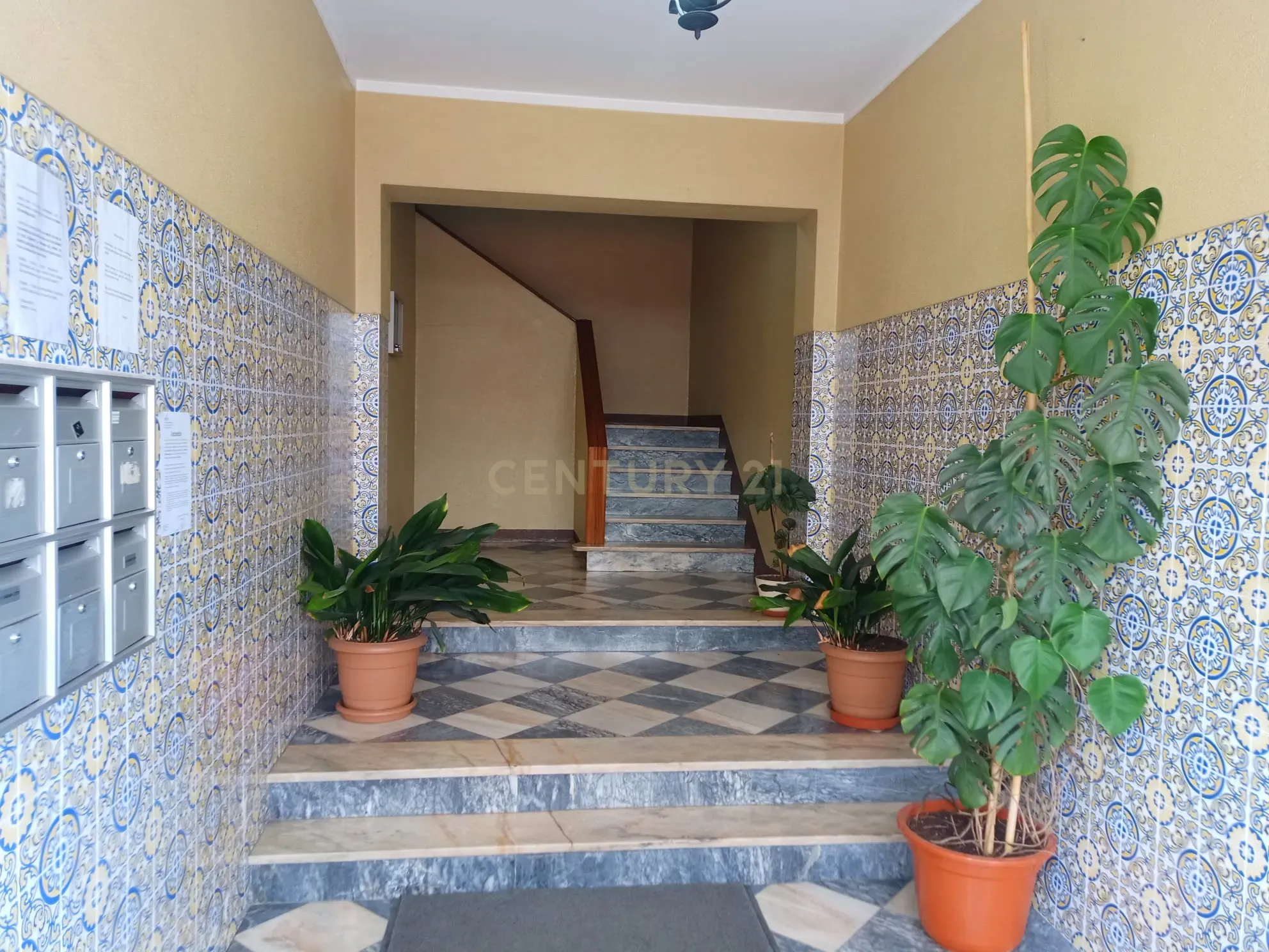 Apartamento T3, Rua Cardeal da Mota, em Castelo Branco - Image 13