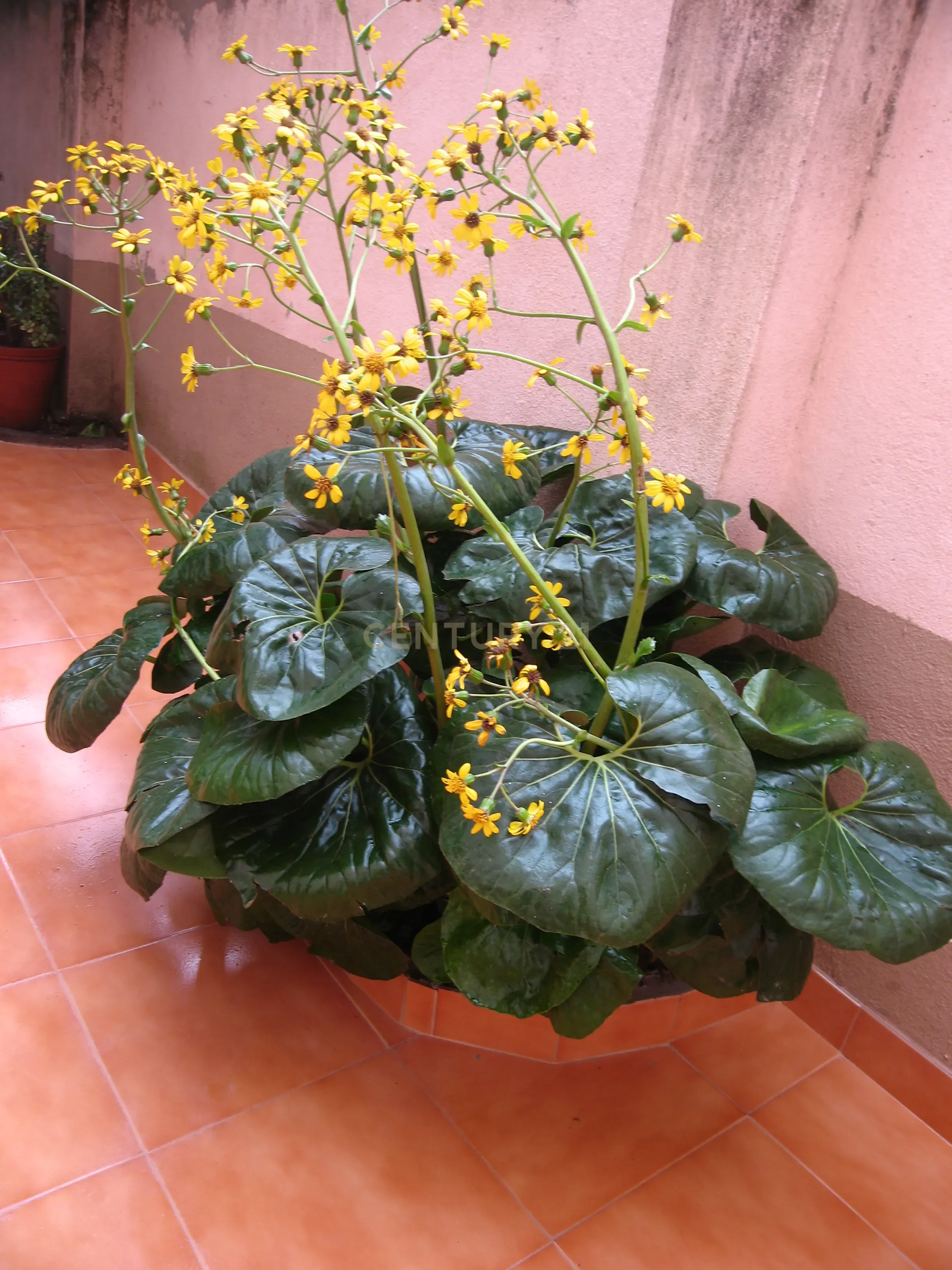 Prédio nas Avenidas Novas - Image 26