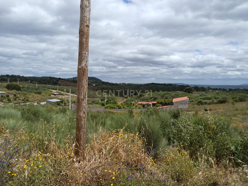 Lote Terreno para construção em Bairro N Sra Valongo, Castelo Branco - Image 6