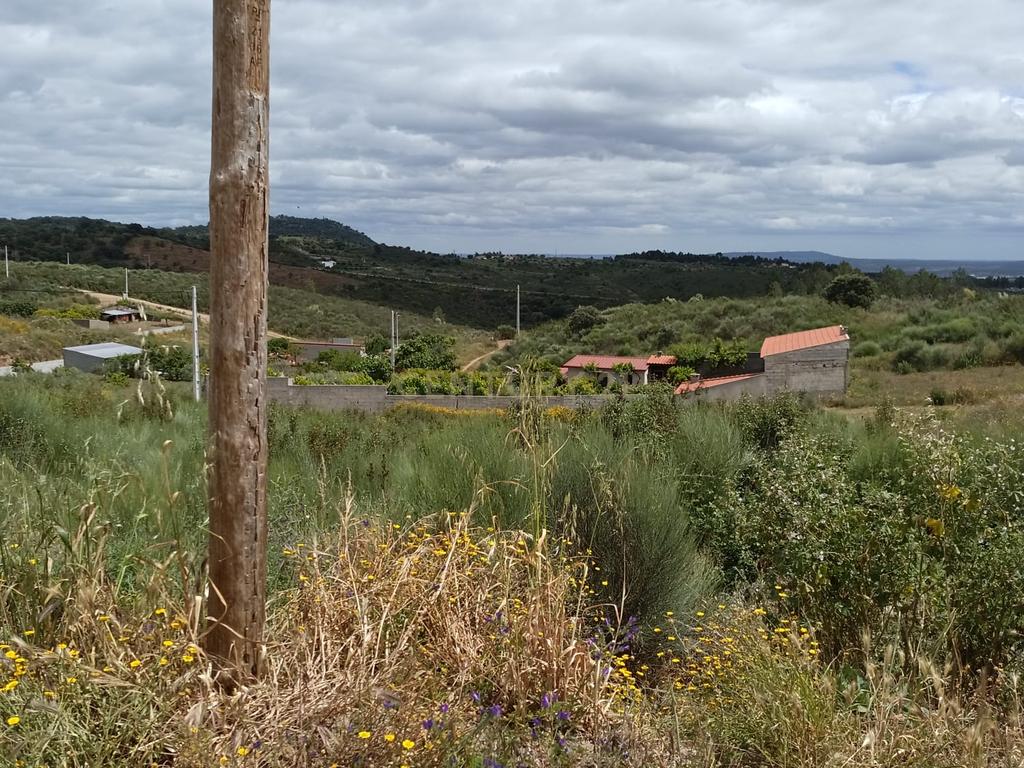 Lote Terreno para construção em Bairro N Sra Valongo, Castelo Branco - Image 3