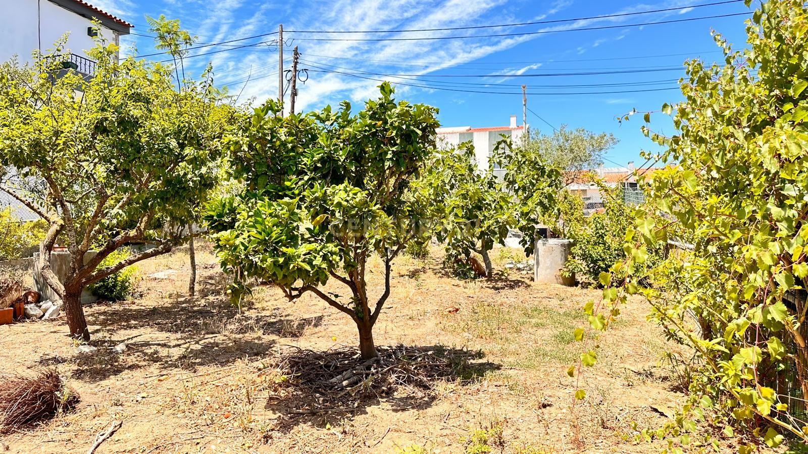 Terreno para Construção Charneca da Caparica - Image 1