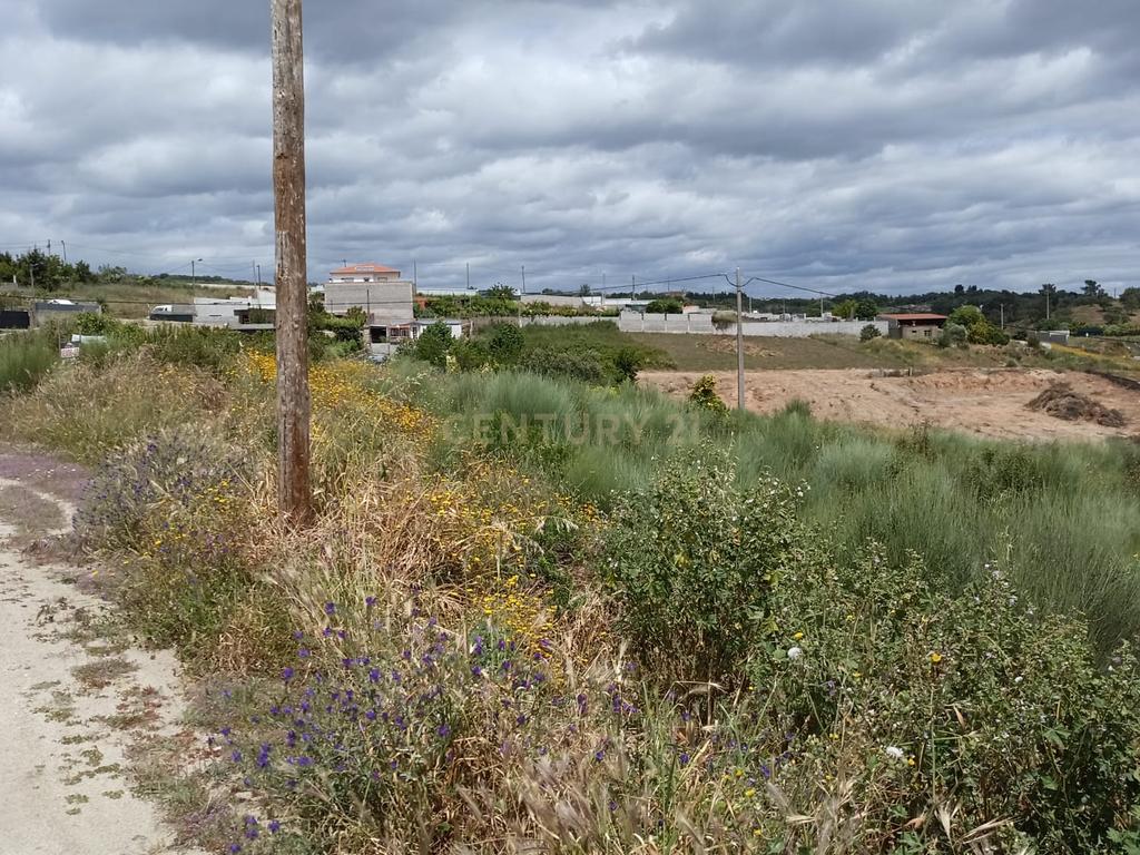 Lote Terreno para construção em Bairro N Sra Valongo, Castelo Branco - Image 1