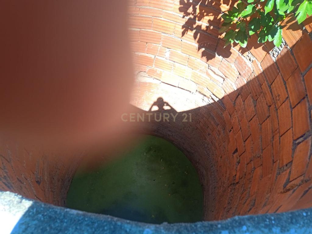 Terreno rustico em Malpica do Tejo, Castelo Branco - Image 8